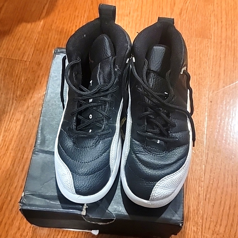 Jordan Retro 12